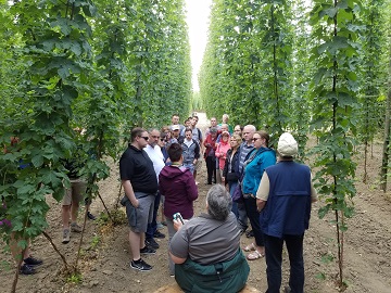 Poperinge Hop Farm