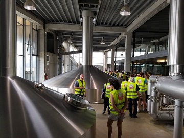 Duvel Brewery Tour